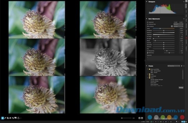 Xem lên đến 6 bức ảnh cùng một lúc và chỉnh sửa từng bức ảnh bằng ứng dụng AfterShot Pro 3 cho máy tính