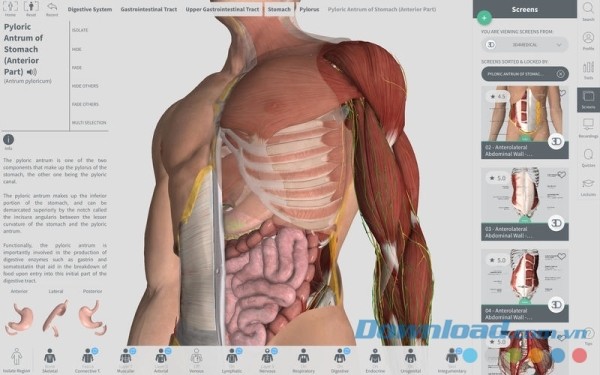 Complete Anatomy cho Mac 5.2.4 - Download.com.vn