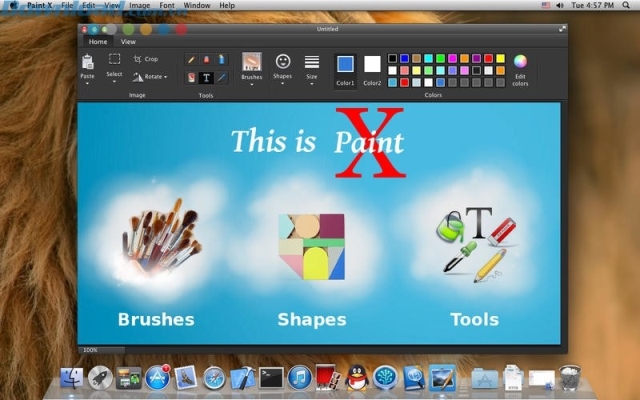 the paint for mac