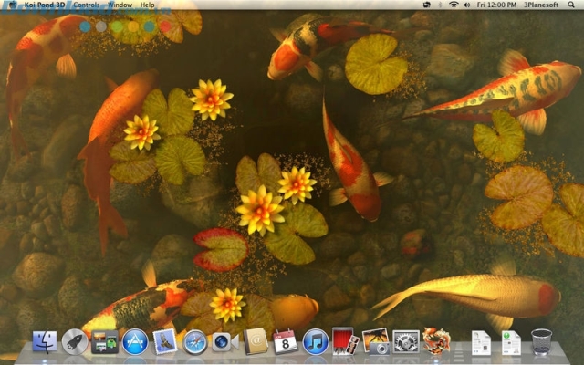 Koi Pond 3D cho Mac  Hình nền cá Koi 3D tuyệt đẹp cho Mac – mobifirst