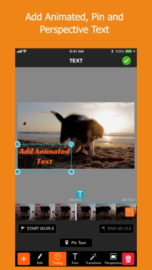 PicPlayPost for iOS more animation into video