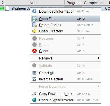Tải FreeRapid Downloader 1.0 Tự động download trực tuyến 74