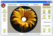 Easy CD and DVD Cover Creator 4.13
