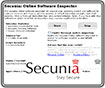 Online Software Inspector