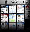 Apple Safari 4.0