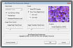 Nice Flowers Free Screensaver 1.0.1