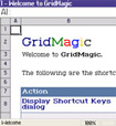 GridMagic Community Edition for BlackBerry