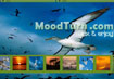 Moodturn - Biến trình duyệt web thành Screensaver bốn mùa 
