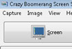 Crazy Boomerang Screen Shot