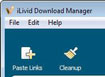 iLivid Download Manager