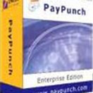 Paypunch-size-132x132-znd.jpg