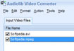 Audiolib Video Converter