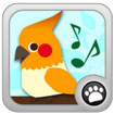 Shush! The birds For Android