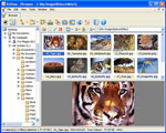  NConvert (64-bit)  6.21 Chuyển đổi hàng loạt các file đồ họa