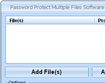 Password Protect Multiple Files Software