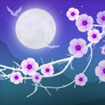 Blooming Night Live Wallpaper for Android