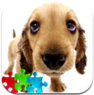 2000+ Cute Puppy Jigsaw Puzzle Free for iPad