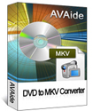 AVAide DVD to MKV Converter