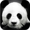 AnimalPix for iPad