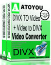 ATOYOU DivX Converter Package