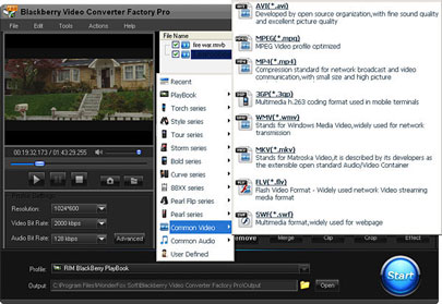 BlackBerry Video Converter Factory Pro