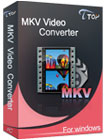 Top MKV Video Converter