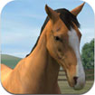 My Horse for iOS