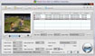 WinX Free FLV to MPEG Converter