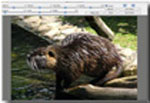 GraphicConverter for Mac