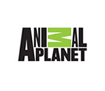 Animal Planet for Windows 8
