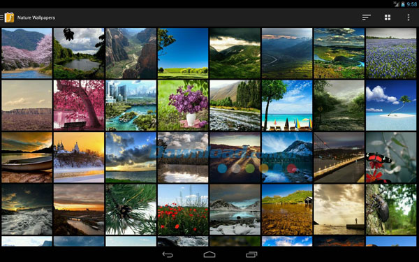 F-Stop Media Gallery for Android