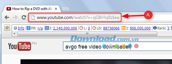 AVGo Free Video Downloader