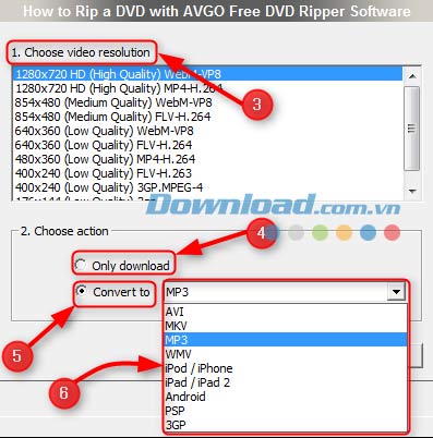 AVGo Free Video Downloader