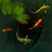 Koi Fish 3D For Android