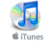 iTunes Duplicate Song Manager