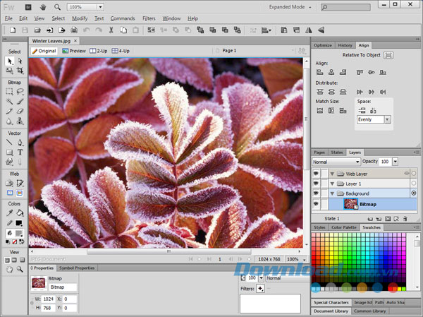 Adobe-Fireworks-CS6-3.jpg