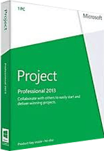 Microsoft Office Project Professional