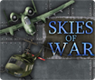 Skies of War