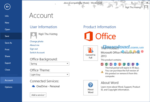 Microsoft Office Word Professional Plus 2013