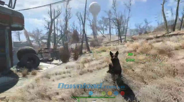 Nhân vật chú chó trong Fallout 4