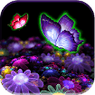 3D Butterfly Live Wallpaper cho Android