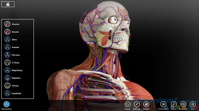 essential anatomy download free windows