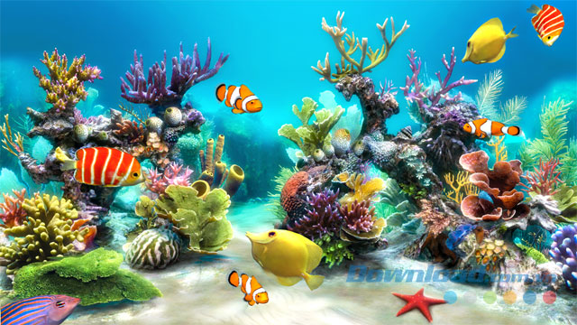 Biến desktop trở thành bể cá với Sim Aquarium