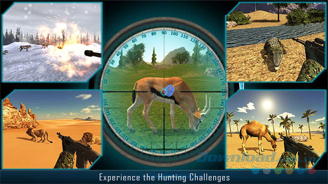 Game săn thú Deer Hunt 2017