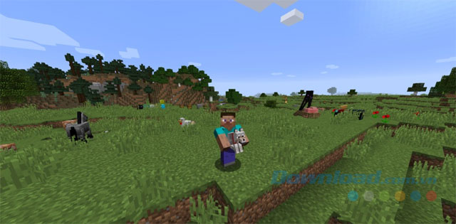 Bê mob và khám phá Minecraft