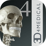 Essential Skeleton 4 cho iOS