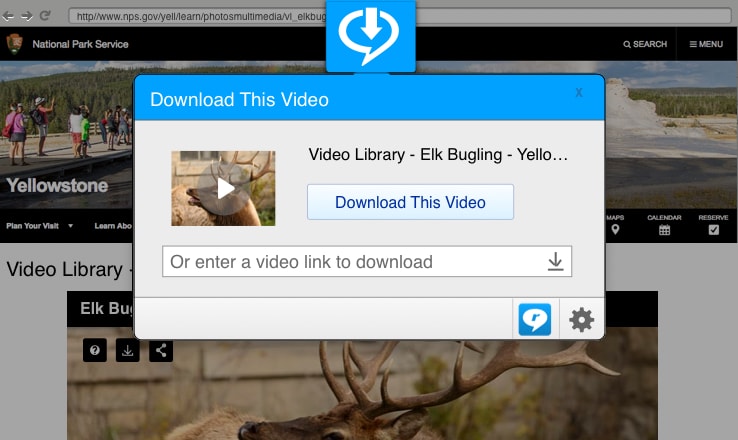 Download videos on the web