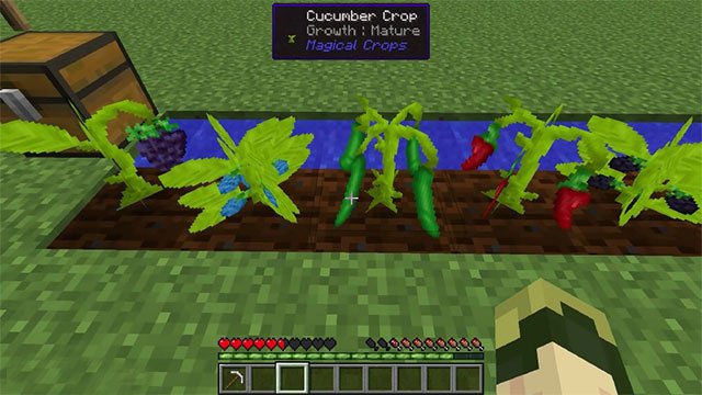 Trồng quặng trong Magic Crops Mod