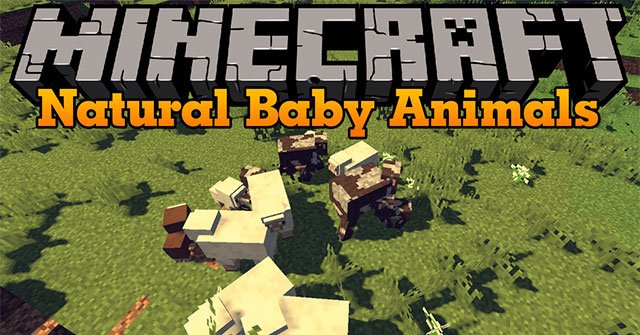 Natural Baby Animals Mod - Mod spawn vật nuôi dễ thương cho Minecraft