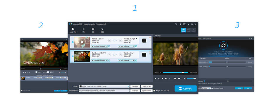 Hướng dẫn sử dụng Aiseesoft MP4 Video Converter